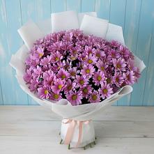 Букет цветов из:  Хризантемы #REPLACE_PRED# Горнореченском